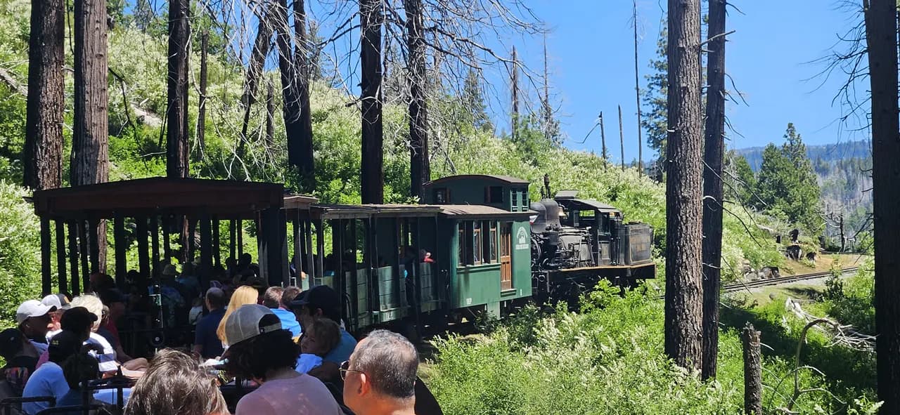 Open-air Yosemite Mountain Sugar Pine Railroad train carrying passengers through Sierra forest