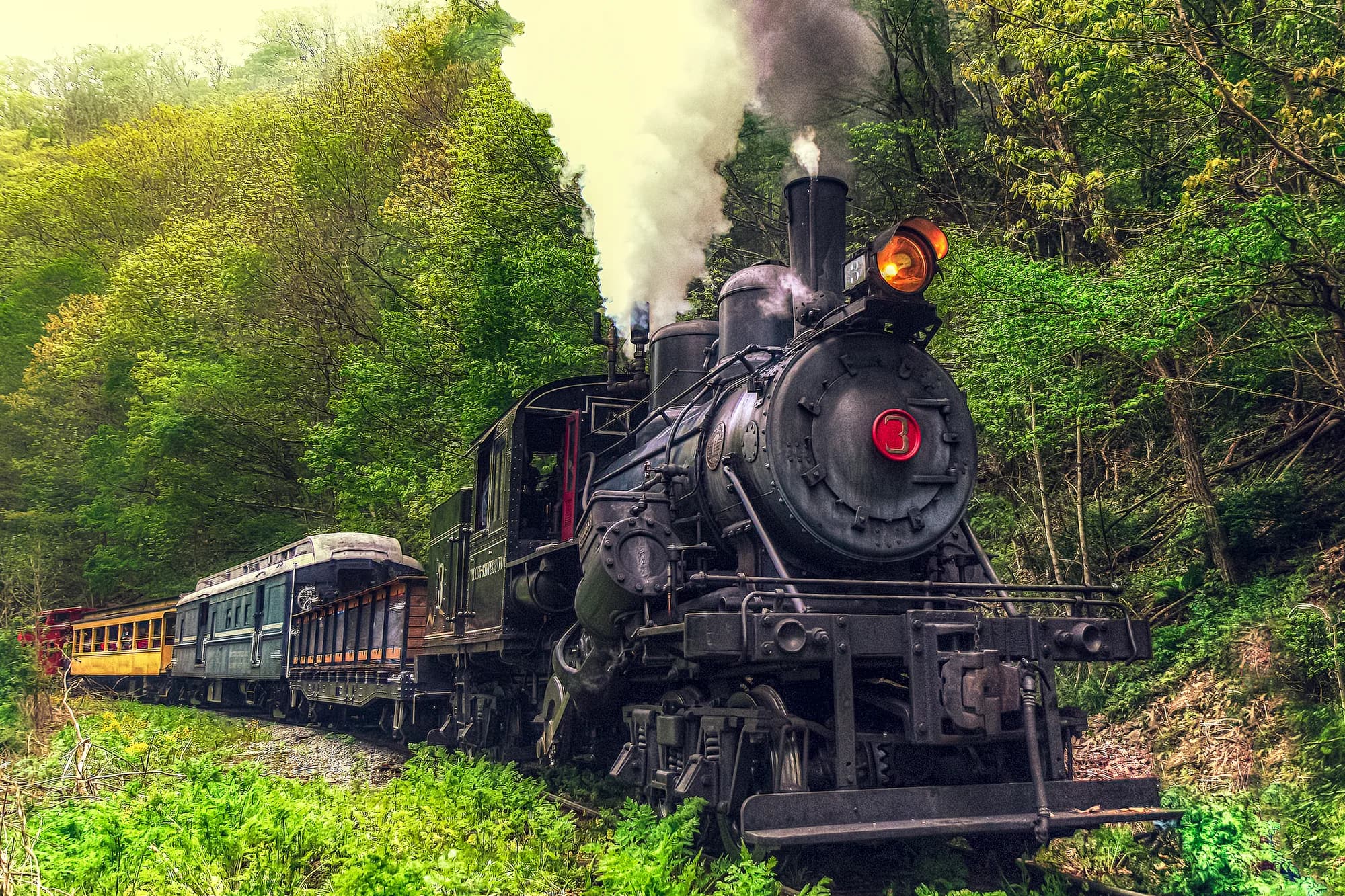Durbin & Greenbrier Valley Railroad