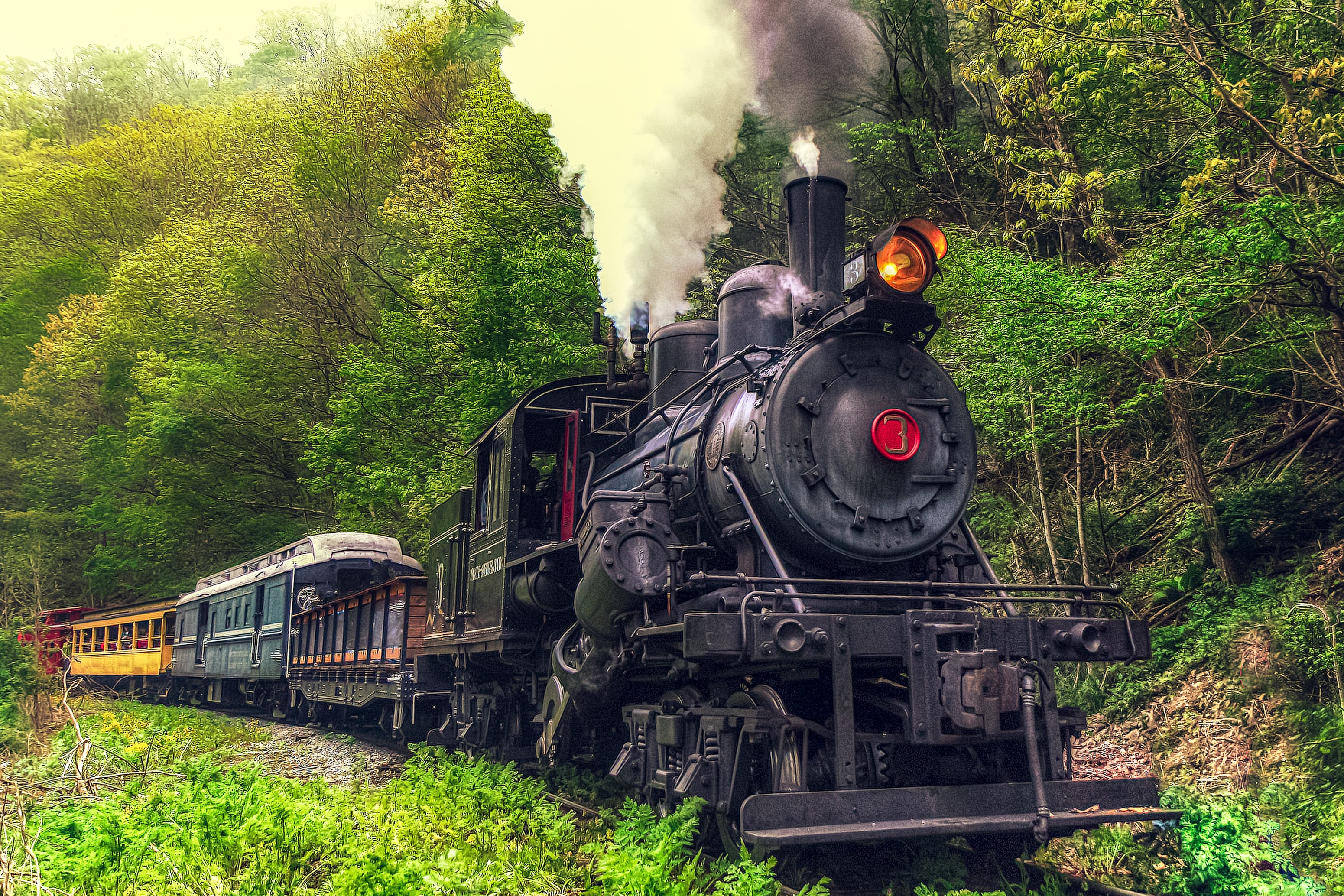 Durbin & Greenbrier Valley Railroad