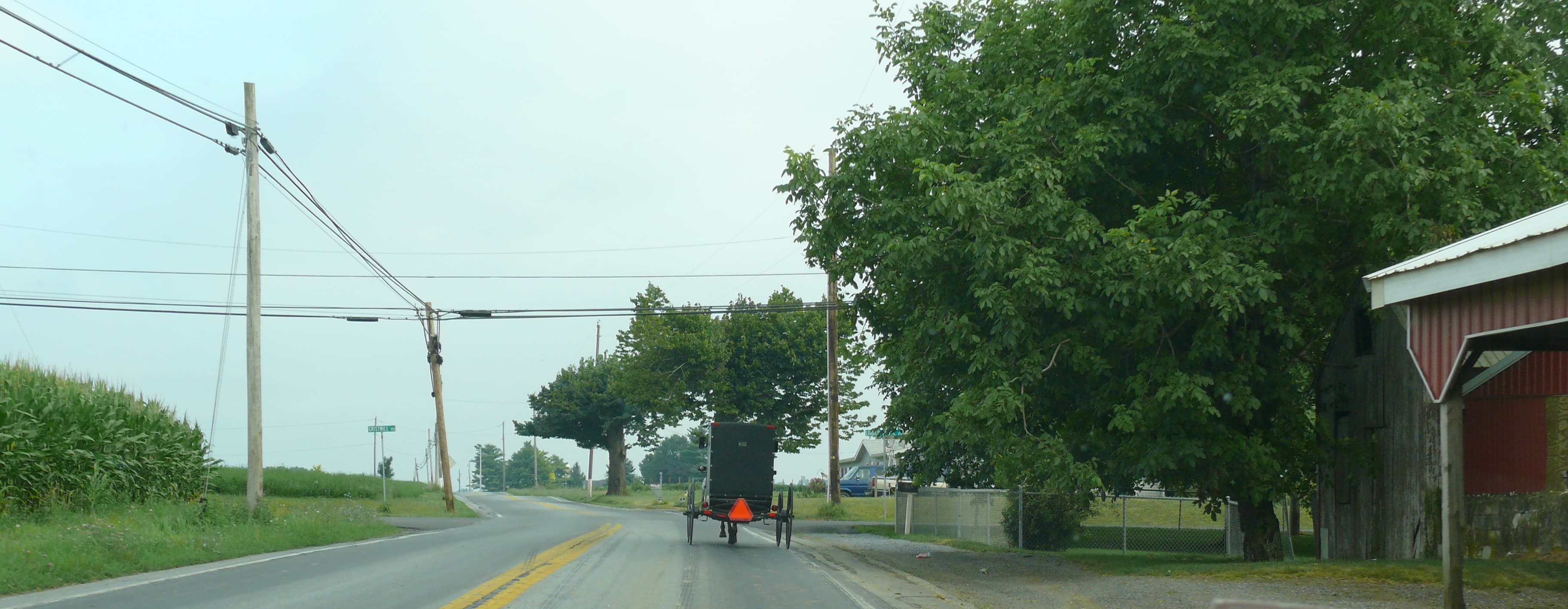 Horse-drawn buggy traveling a country road in Lancaster County, Pennsylvania